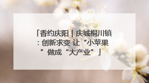 香约庆阳｜庆城桐川镇：创新求变 让“小苹果”做成“大产业”