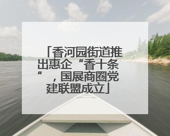 香河园街道推出惠企“香十条”，国展商圈党建联盟成立