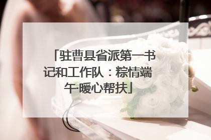 驻曹县省派第一书记和工作队：粽情端午·暖心帮扶