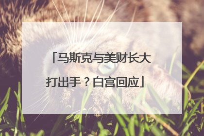 马斯克与美财长大打出手？白宫回应