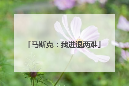 马斯克：我进退两难
