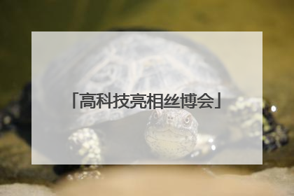 高科技亮相丝博会