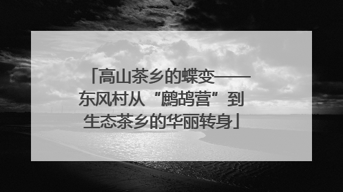 高山茶乡的蝶变——东风村从“鹧鸪营”到生态茶乡的华丽转身