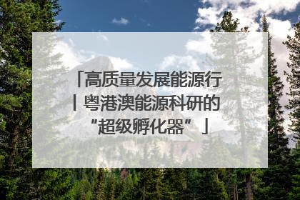 高质量发展能源行丨粤港澳能源科研的“超级孵化器”