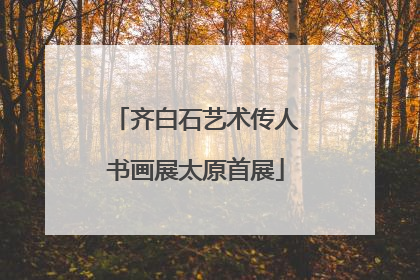 齐白石艺术传人书画展太原首展