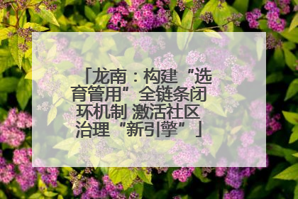 龙南：构建“选育管用”全链条闭环机制 激活社区治理“新引擎”