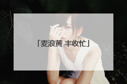 麦浪黄 丰收忙