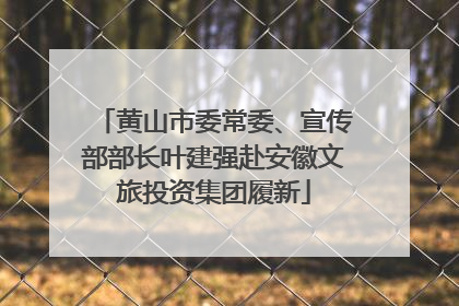 黄山市委常委、宣传部部长叶建强赴安徽文旅投资集团履新