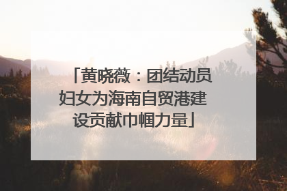 黄晓薇：团结动员妇女为海南自贸港建设贡献巾帼力量