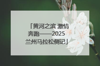 黄河之滨 激情奔跑——2025兰州马拉松侧记