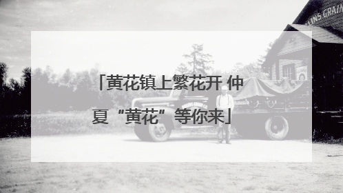 黄花镇上繁花开 仲夏“黄花”等你来