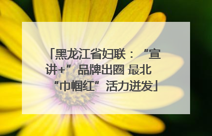 黑龙江省妇联：“宣讲+”品牌出圈 最北“巾帼红”活力迸发