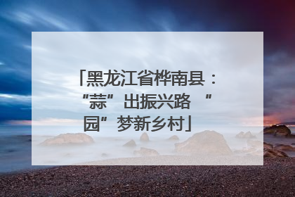 黑龙江省桦南县：“蒜”出振兴路 “园”梦新乡村