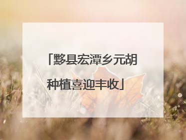 黟县宏潭乡元胡种植喜迎丰收