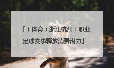 （体育）浙江杭州：职业足球赛事释放消费潜力
