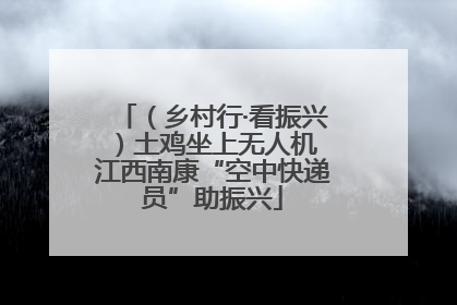 （乡村行·看振兴）土鸡坐上无人机 江西南康“空中快递员”助振兴