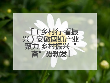 （乡村行·看振兴）安徽固镇产业聚力 乡村振兴“畜”势勃发