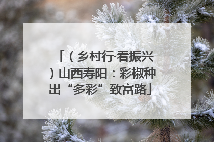 （乡村行·看振兴）山西寿阳：彩椒种出“多彩”致富路