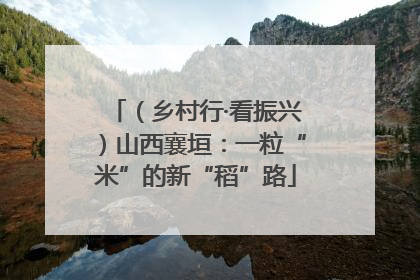 （乡村行·看振兴）山西襄垣：一粒“米”的新“稻”路