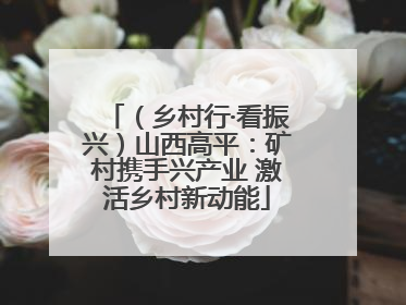 （乡村行·看振兴）山西高平：矿村携手兴产业 激活乡村新动能