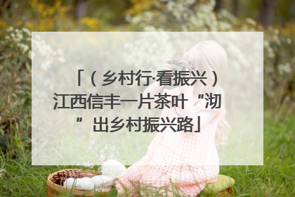 （乡村行·看振兴）江西信丰一片茶叶“沏”出乡村振兴路