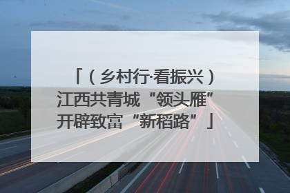 （乡村行·看振兴）江西共青城“领头雁”开辟致富“新稻路”