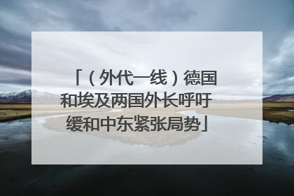 （外代一线）德国和埃及两国外长呼吁缓和中东紧张局势