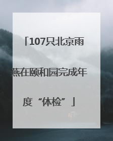 107只北京雨燕在颐和园完成年度“体检”