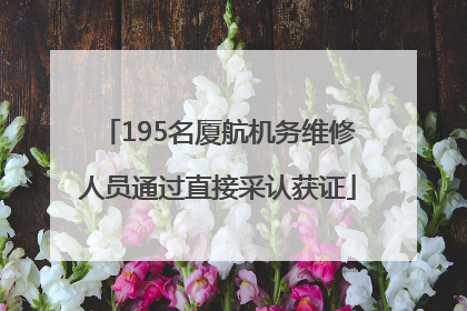 195名厦航机务维修人员通过直接采认获证