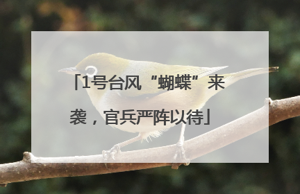 1号台风“蝴蝶”来袭，官兵严阵以待