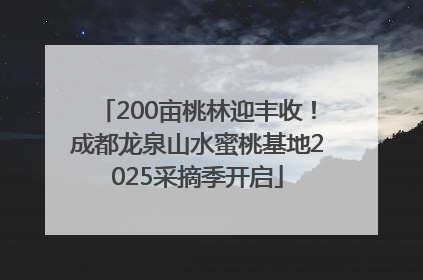 200亩桃林迎丰收！成都龙泉山水蜜桃基地2025采摘季开启