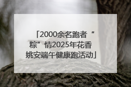 2000余名跑者“粽”情2025年花香姚安端午健康跑活动
