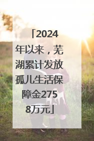 2024年以来，芜湖累计发放孤儿生活保障金2758万元
