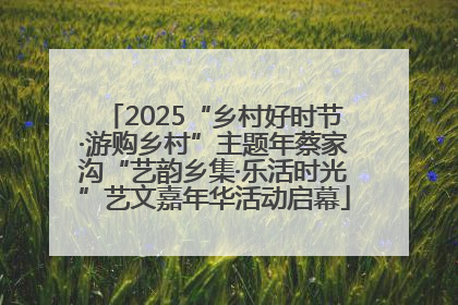 2025“乡村好时节·游购乡村”主题年蔡家沟“艺韵乡集·乐活时光”艺文嘉年华活动启幕