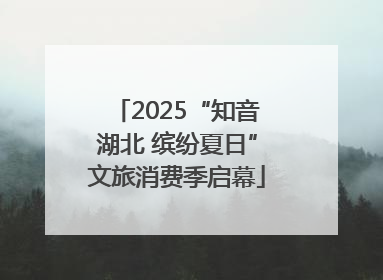 2025“知音湖北 缤纷夏日”文旅消费季启幕
