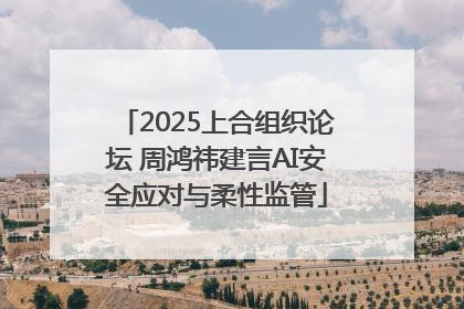 2025上合组织论坛 周鸿祎建言AI安全应对与柔性监管