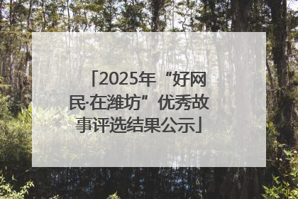 2025年“好网民·在潍坊”优秀故事评选结果公示