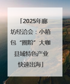 2025年廊坊经洽会：小箱包“圈粉”大咖 县域特色产业快速出海