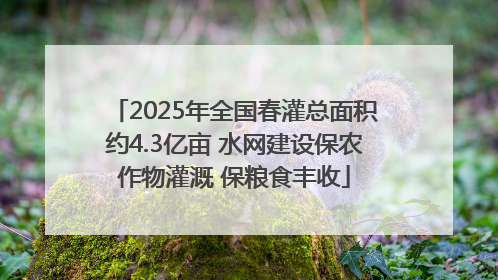 2025年全国春灌总面积约4.3亿亩 水网建设保农作物灌溉 保粮食丰收
