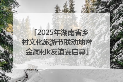2025年湖南省乡村文化旅游节联动地暨金洞村k友谊赛启幕