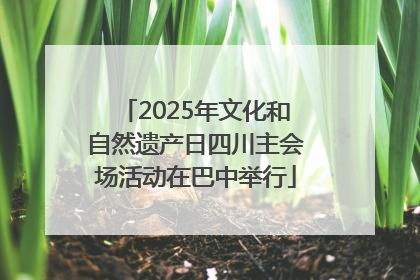 2025年文化和自然遗产日四川主会场活动在巴中举行