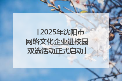 2025年沈阳市网络文化企业进校园双选活动正式启动