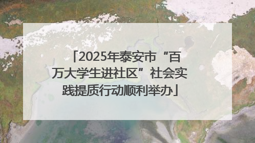 2025年泰安市“百万大学生进社区”社会实践提质行动顺利举办