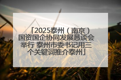 2025泰州（南京）国资国企协同发展恳谈会举行 泰州市委书记用三个关键词推介泰州