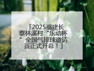 2025福建长泰林溪村“乐动杯”全国气排球邀请赛正式开幕！