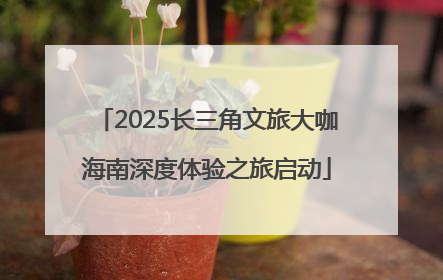 2025长三角文旅大咖海南深度体验之旅启动