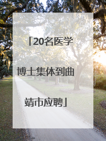 20名医学博士集体到曲靖市应聘