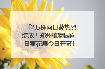 2万株向日葵热烈绽放！郑州植物园向日葵花展今日开幕
