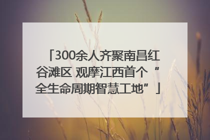 300余人齐聚南昌红谷滩区 观摩江西首个“全生命周期智慧工地”