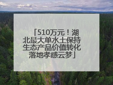 510万元！湖北最大单水土保持生态产品价值转化落地孝感云梦